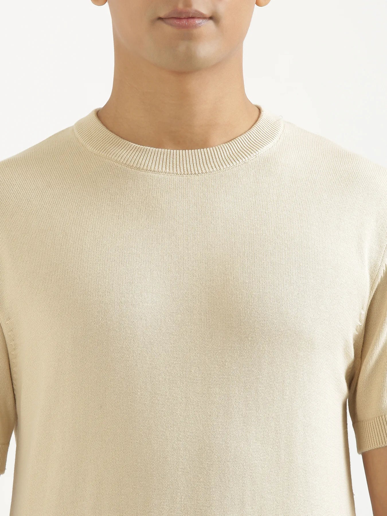 Men Beige Flat Knit Round Neck T-shirt