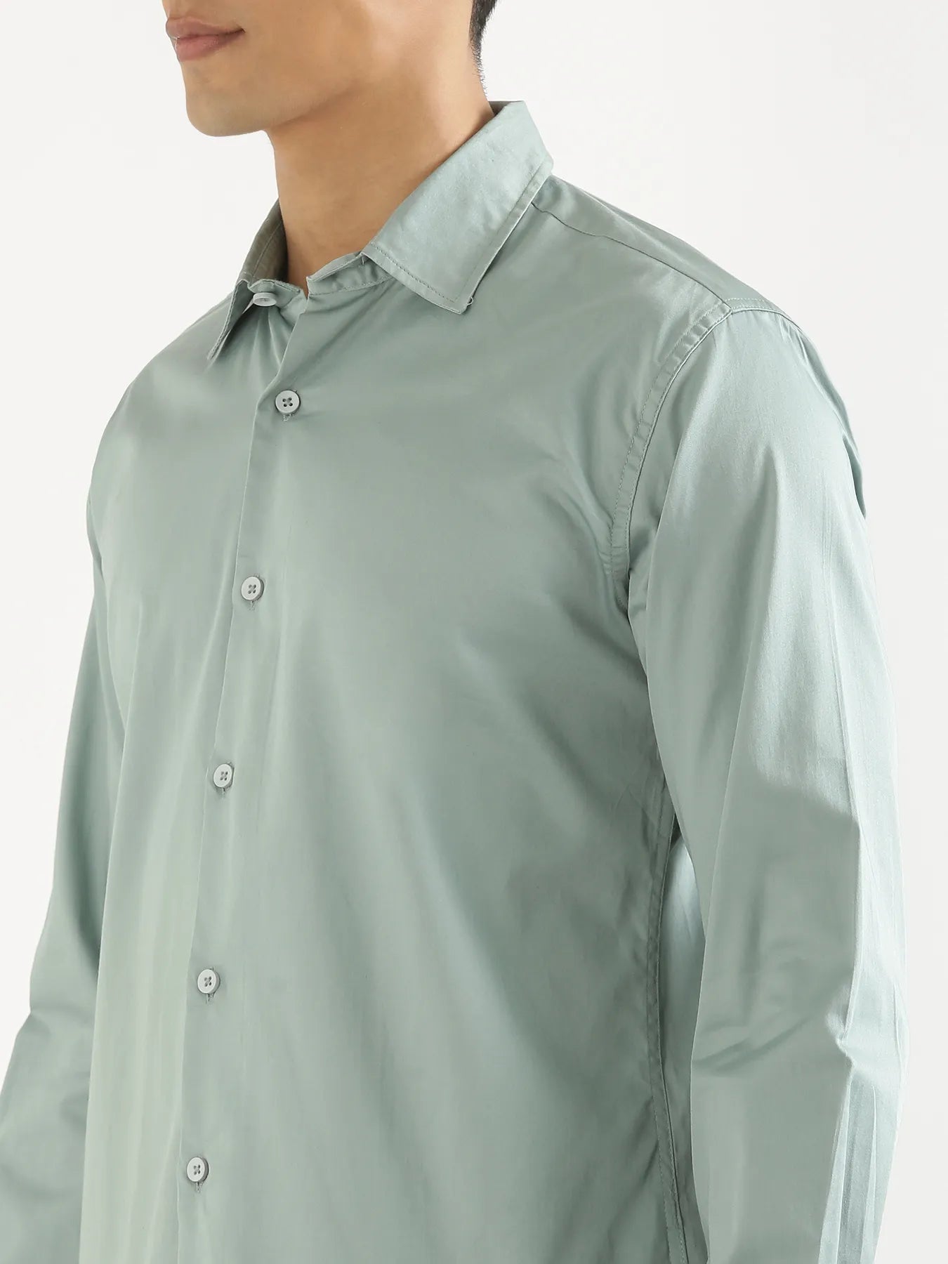 Men Plus Size Jade Formal Shirts