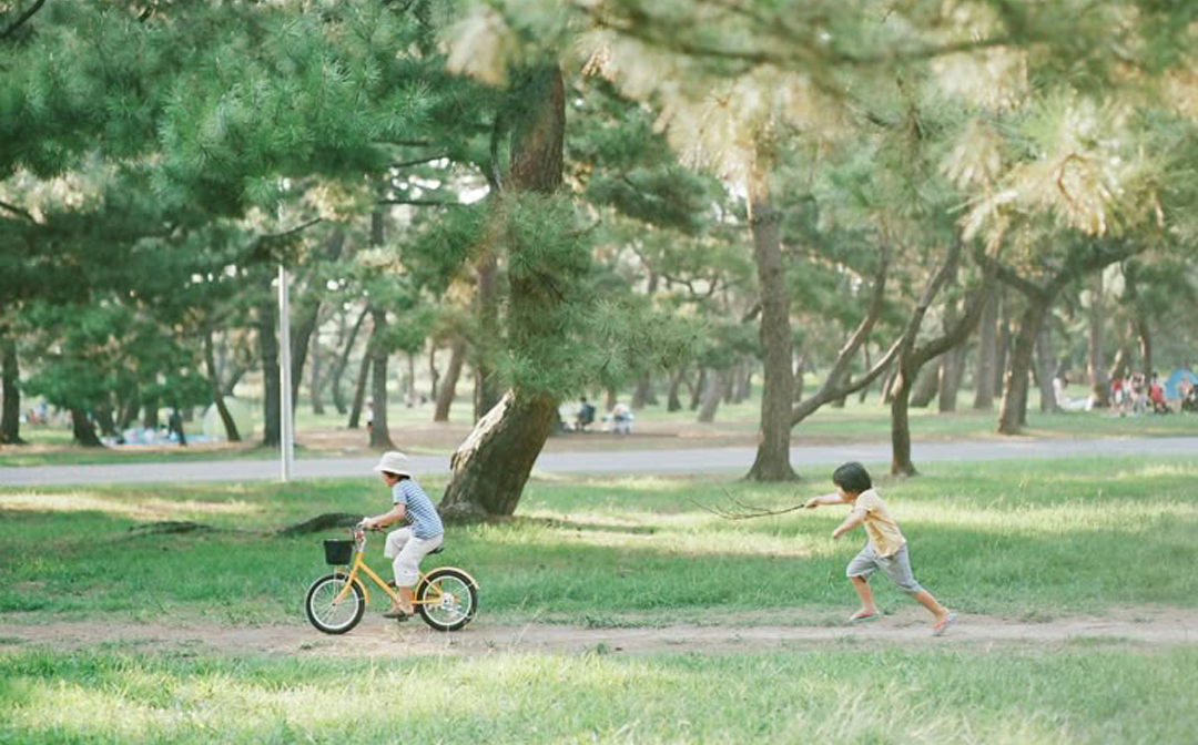 The Art of Simplicity: Finding Joy in a Less Complicated Life banner mobile